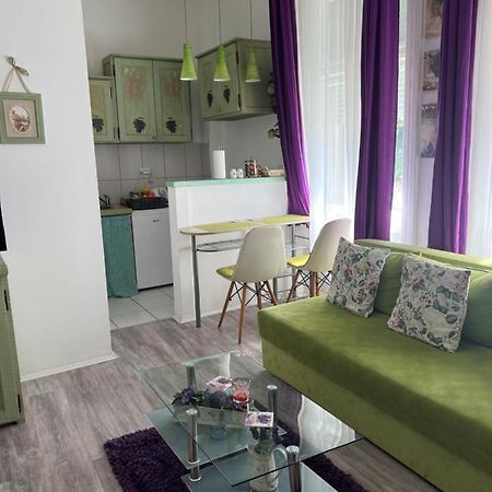 Center Cosy Vintage Apartment Νόβι Σαντ Εξωτερικό φωτογραφία