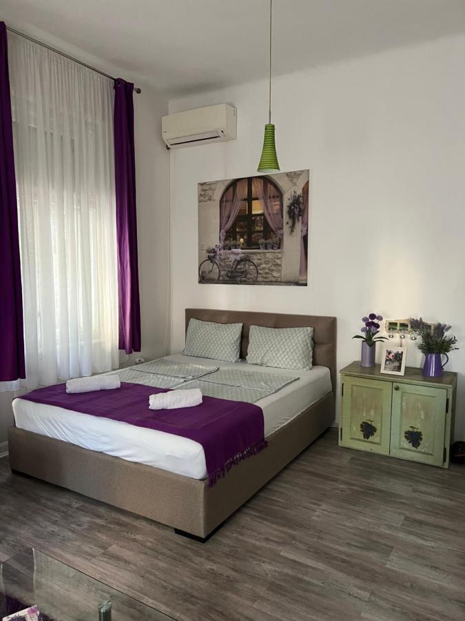 Center Cosy Vintage Apartment Νόβι Σαντ Εξωτερικό φωτογραφία