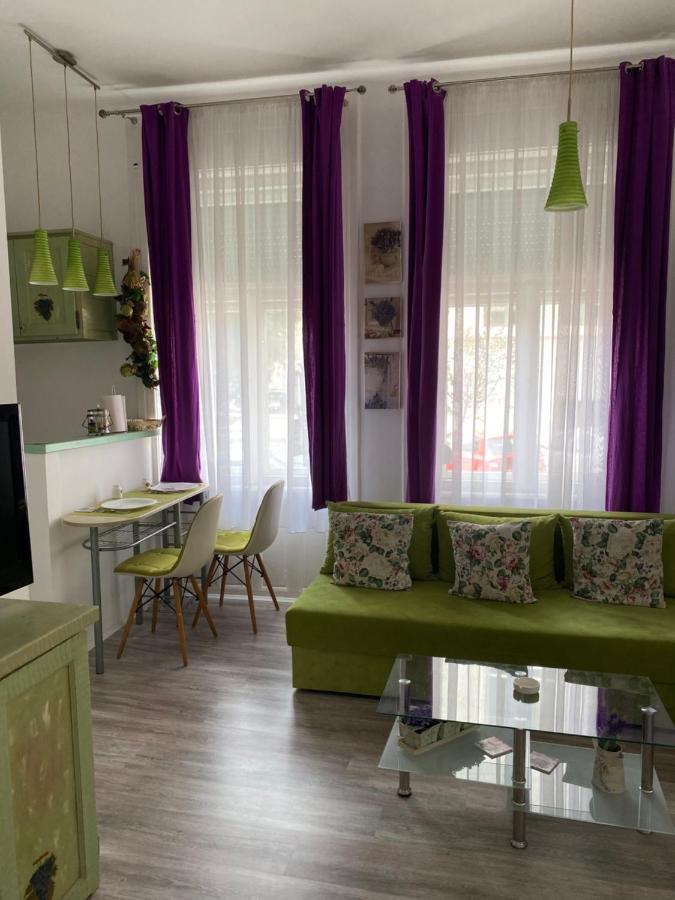 Center Cosy Vintage Apartment Νόβι Σαντ Εξωτερικό φωτογραφία