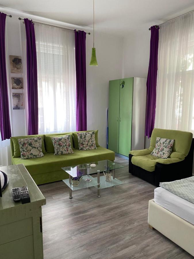 Center Cosy Vintage Apartment Νόβι Σαντ Εξωτερικό φωτογραφία