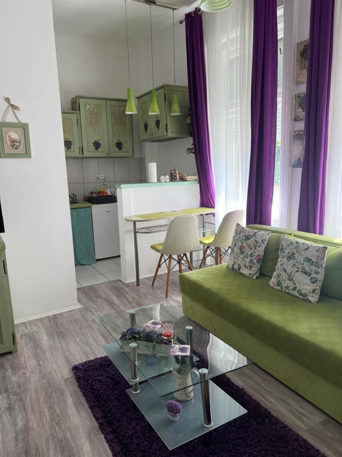 Center Cosy Vintage Apartment Νόβι Σαντ Εξωτερικό φωτογραφία
