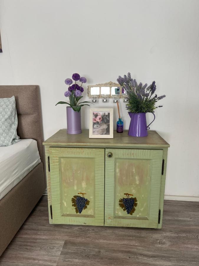 Center Cosy Vintage Apartment Νόβι Σαντ Εξωτερικό φωτογραφία